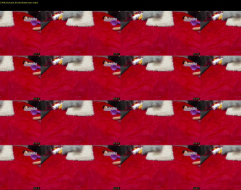 cataleya_0_0 — 25 minute Chaturbate female cam show recording, 720p, Dec 3, 2022