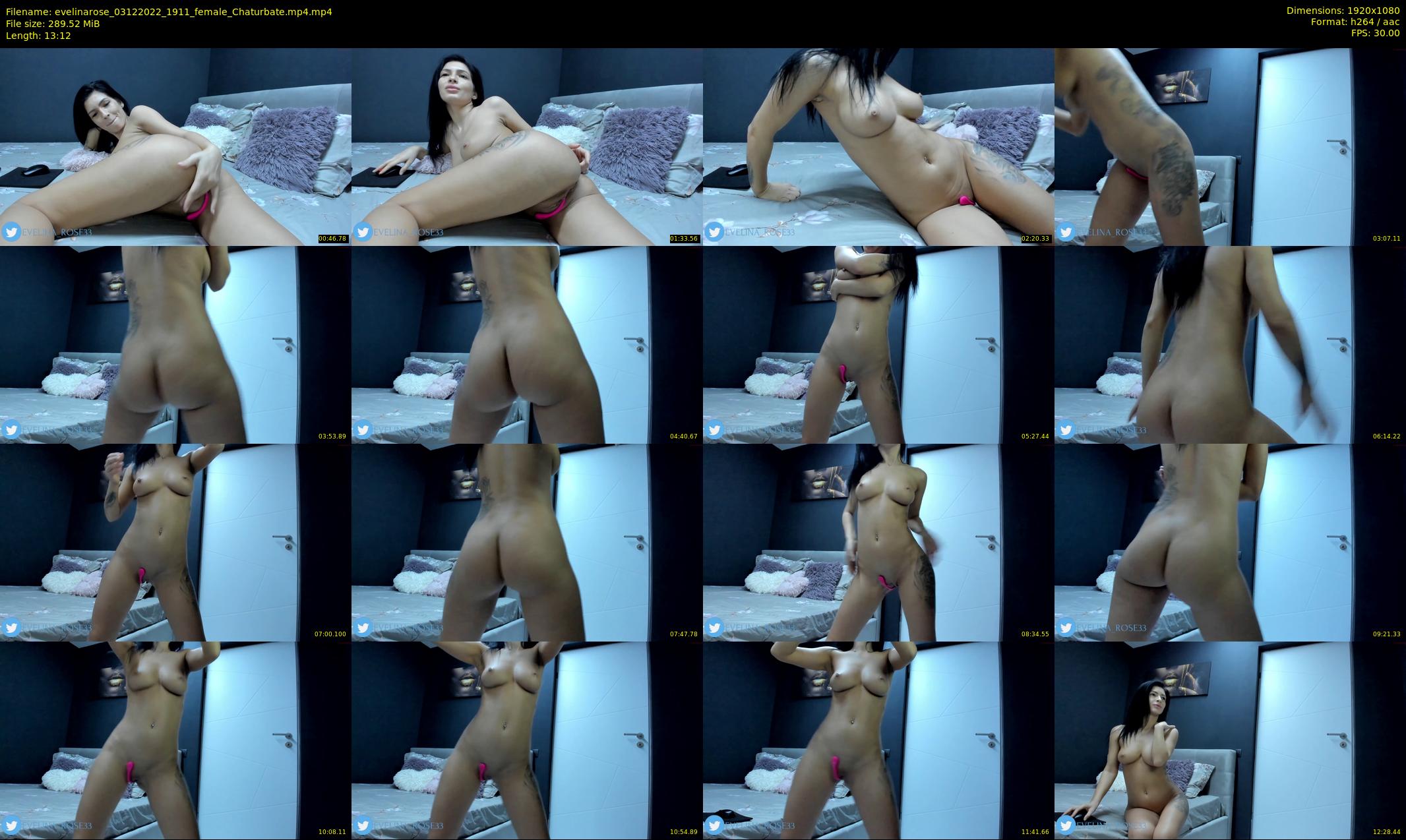 evelinarose — 14 minute Chaturbate female cam show recording, 1080p, Dec 3, 2022