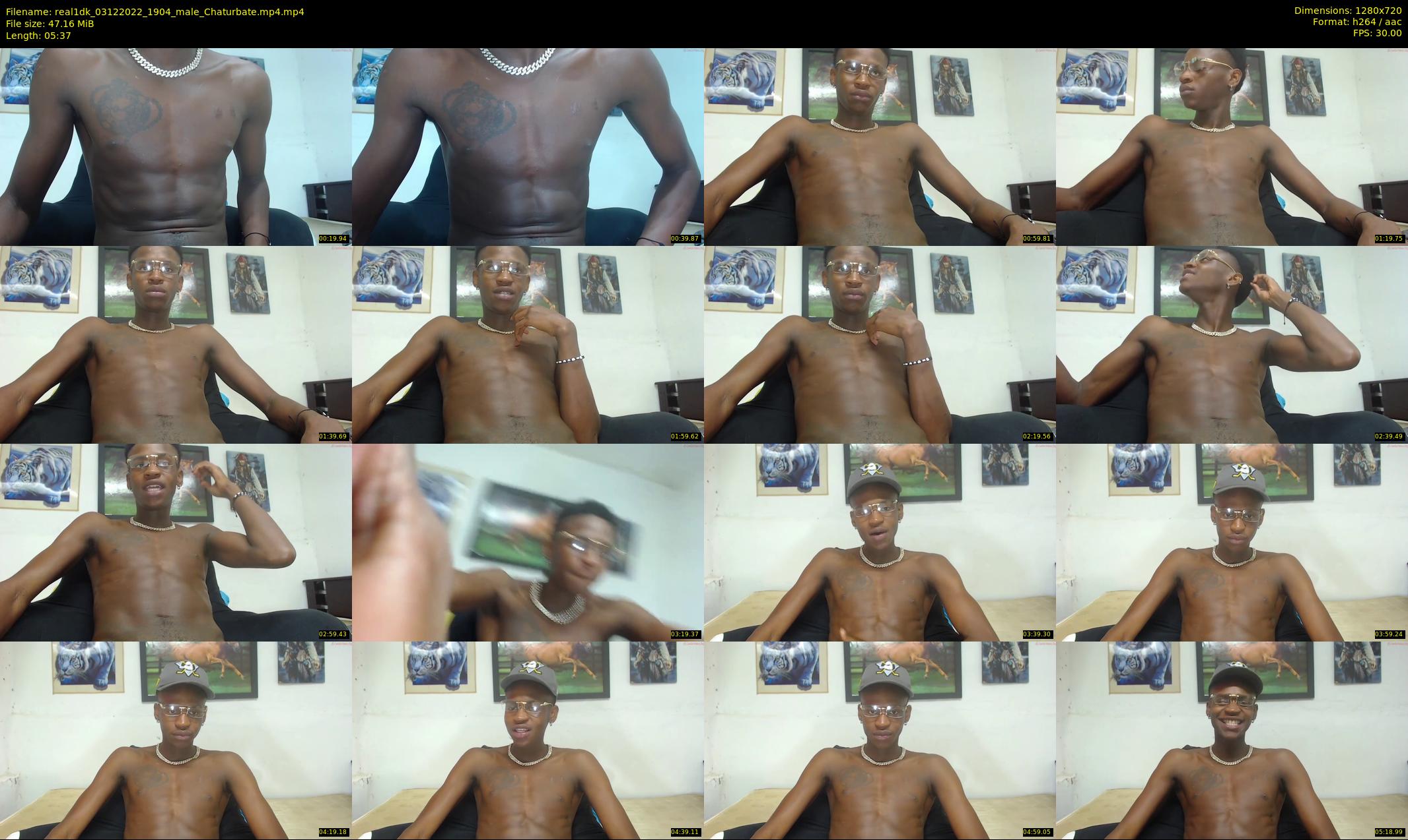 real1dk — 6 minute Chaturbate male cam show recording, 720p, Dec 3, 2022