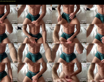 bestdick1991 — 91 minute Chaturbate male cam show recording, 720p, Dec 4, 2022