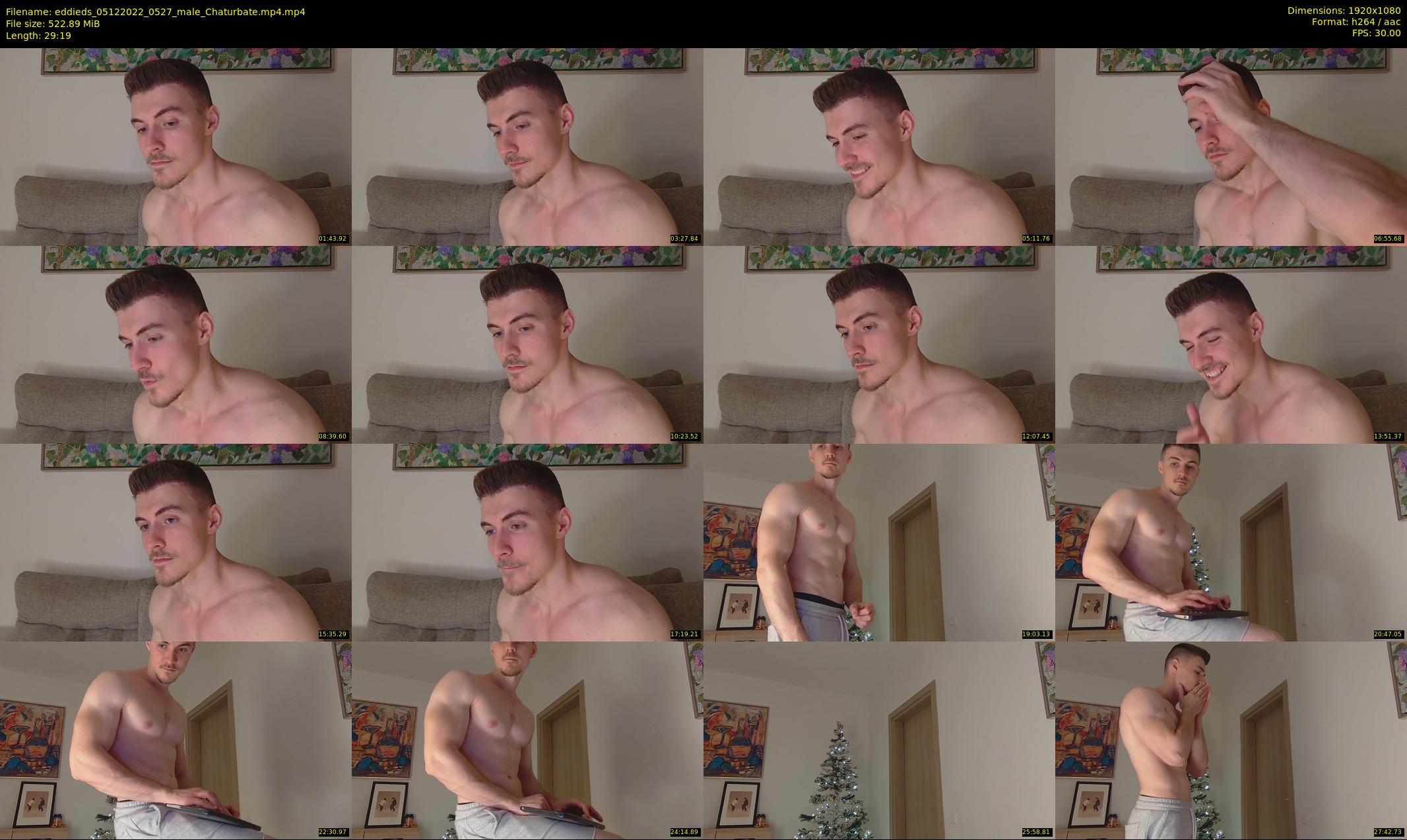 eddieds — 30 minute Chaturbate male cam show recording, 1080p, Dec 5, 2022