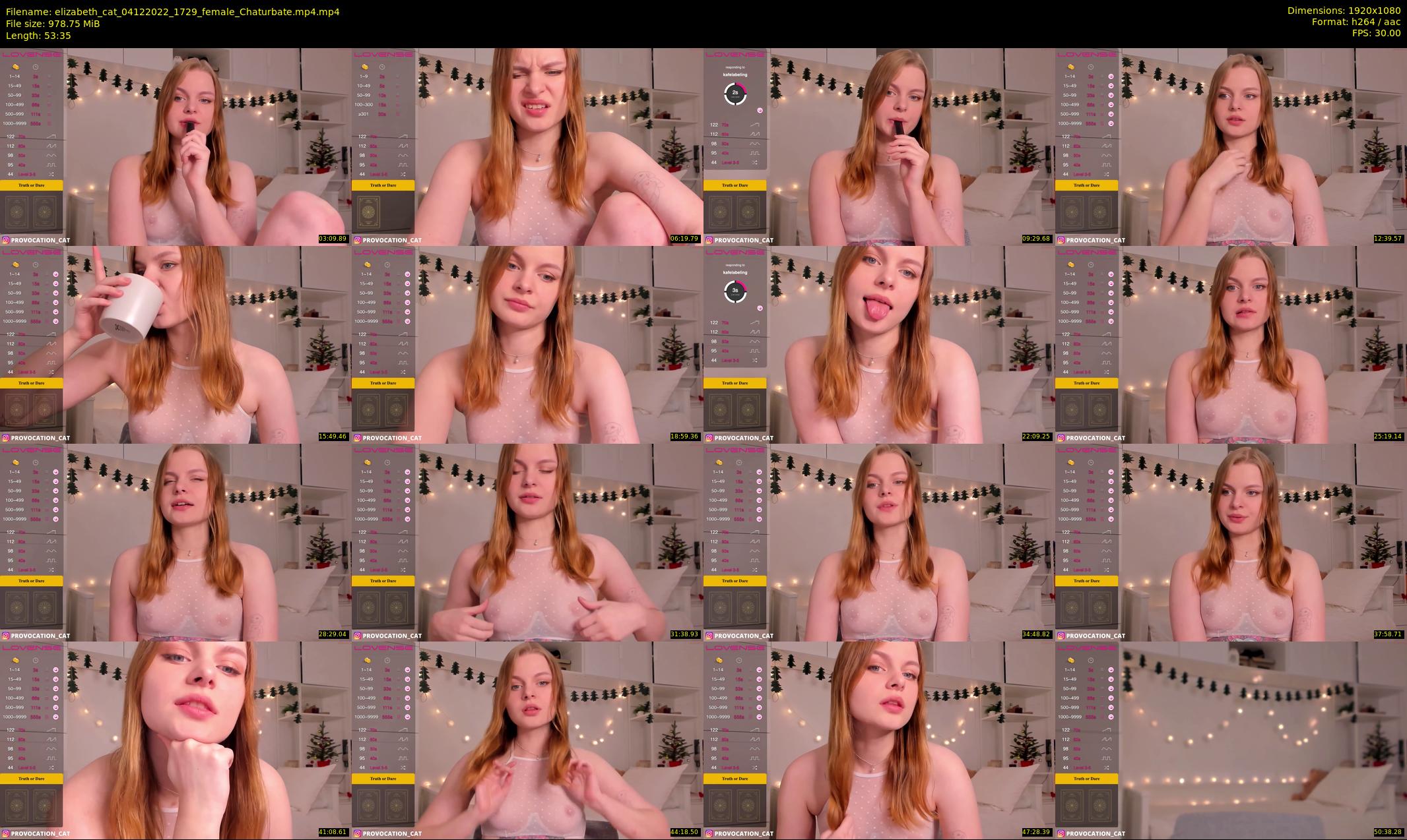 elizabeth_cat — 54 minute Chaturbate female cam show recording, 1080p, Dec 4, 2022