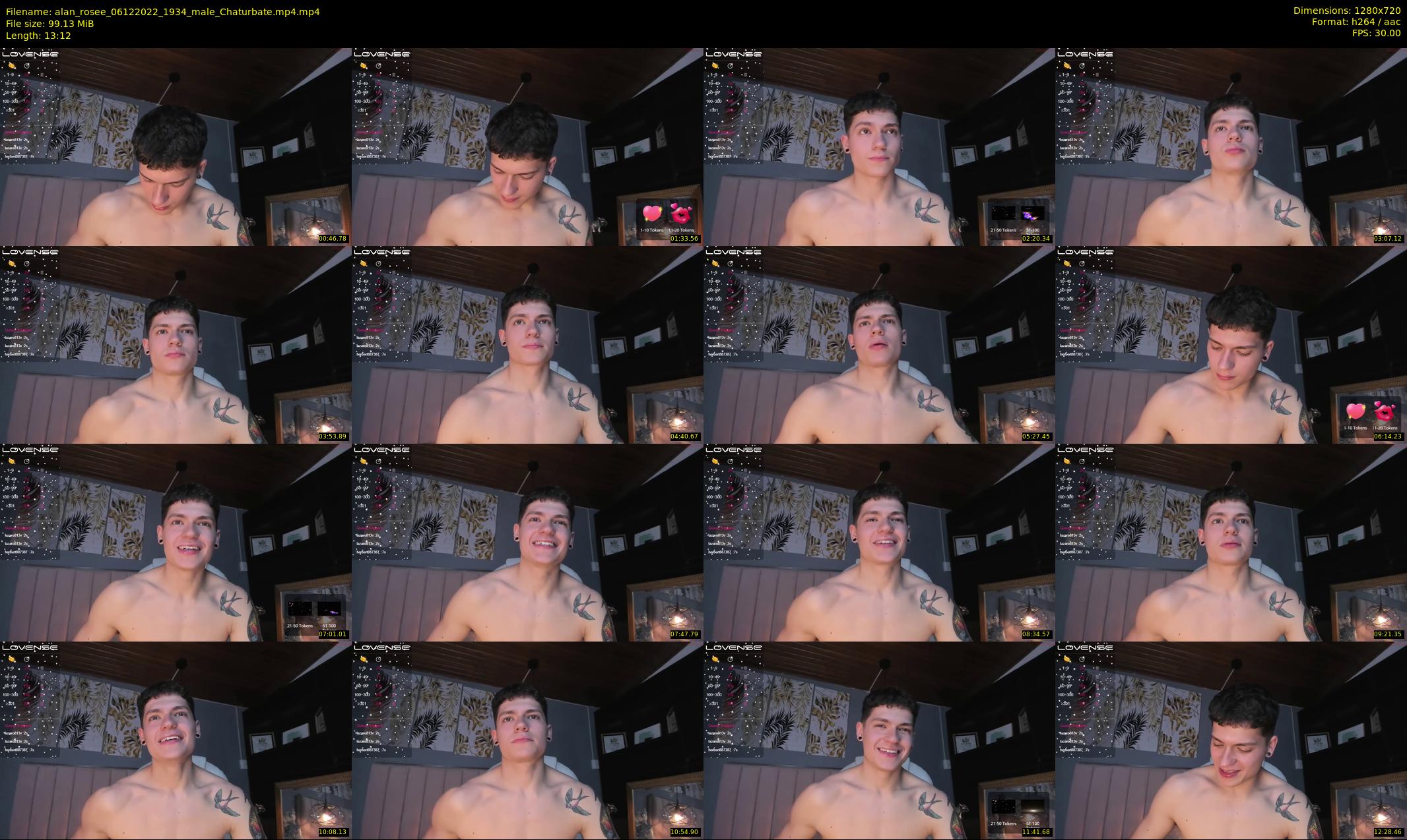 alan_rosee — 14 minute Chaturbate male cam show recording, 720p, Dec 6, 2022