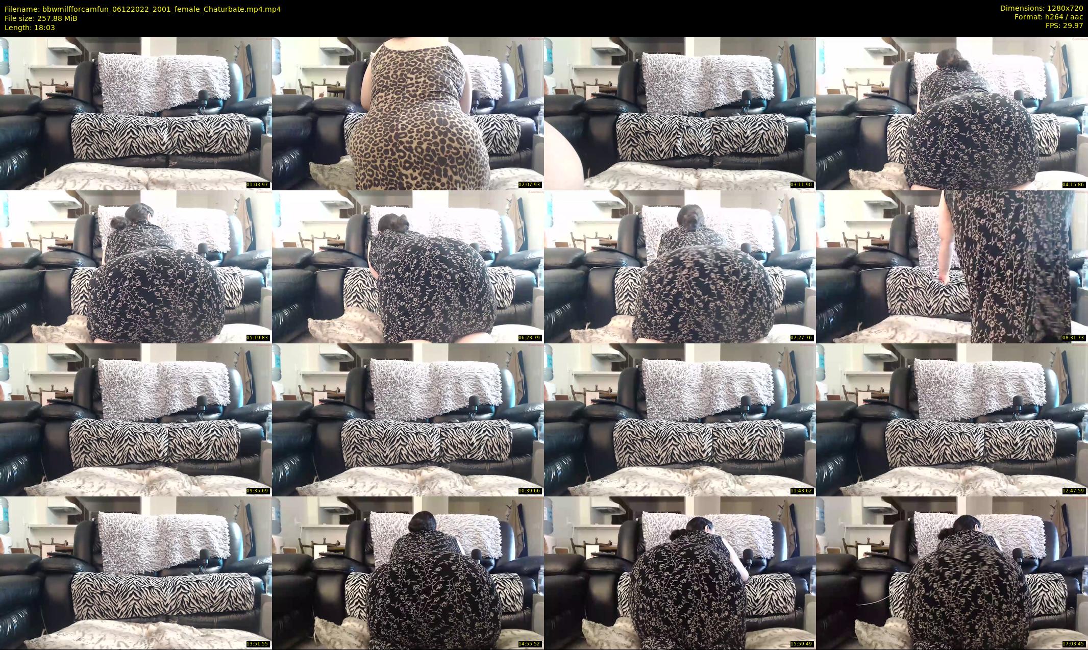bbwmilfforcamfun — 19 minute Chaturbate female cam show recording, 720p, Dec 6, 2022