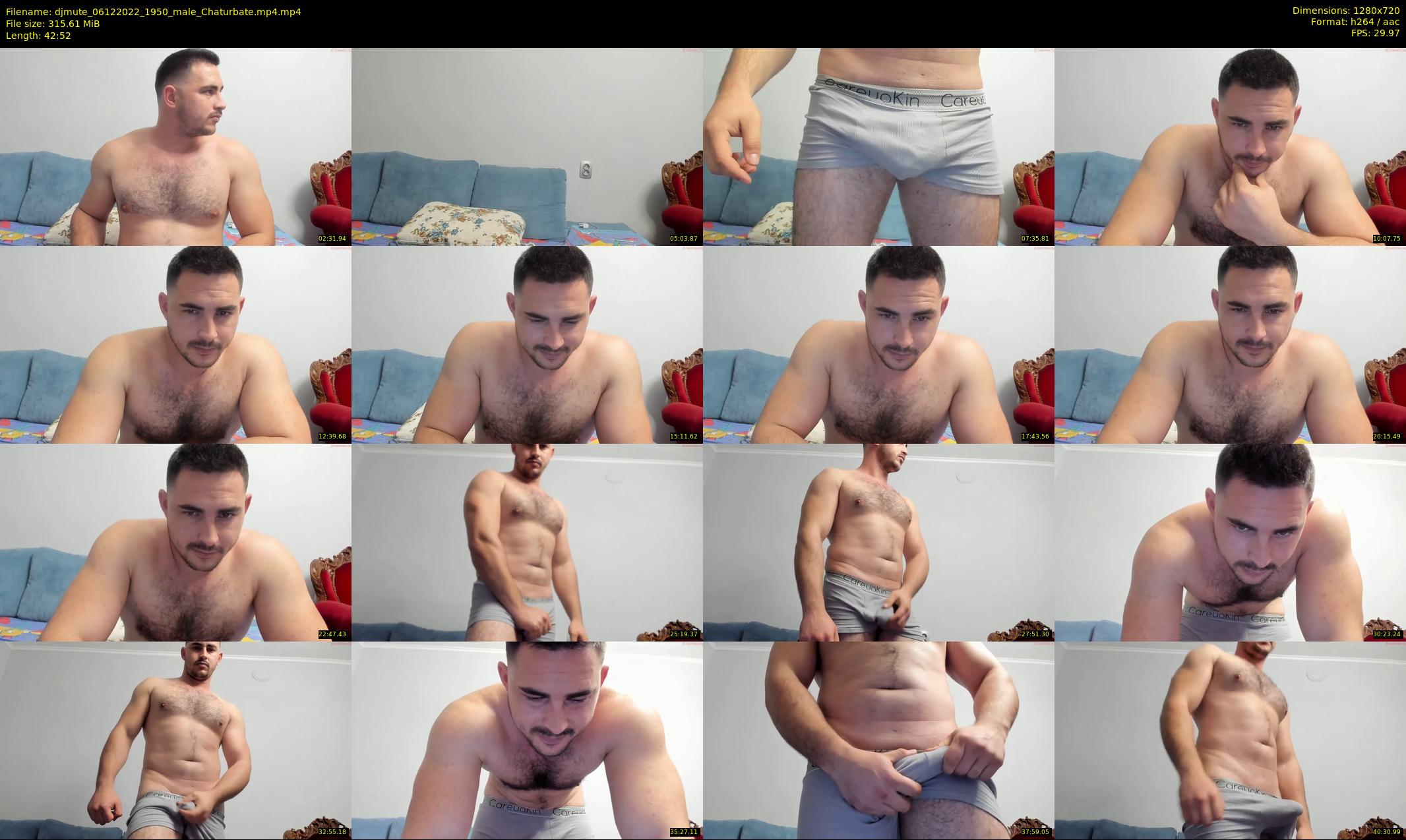 djmute — 43 minute Chaturbate male cam show recording, 720p, Dec 6, 2022