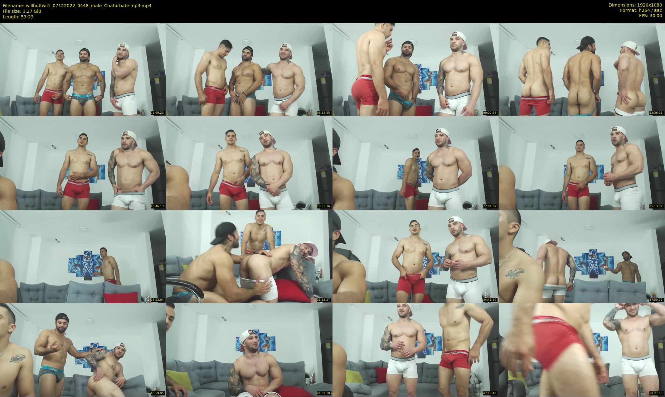 willhottwil1 — 54 minute Chaturbate couple cam show recording, 1080p, Dec 7, 2022