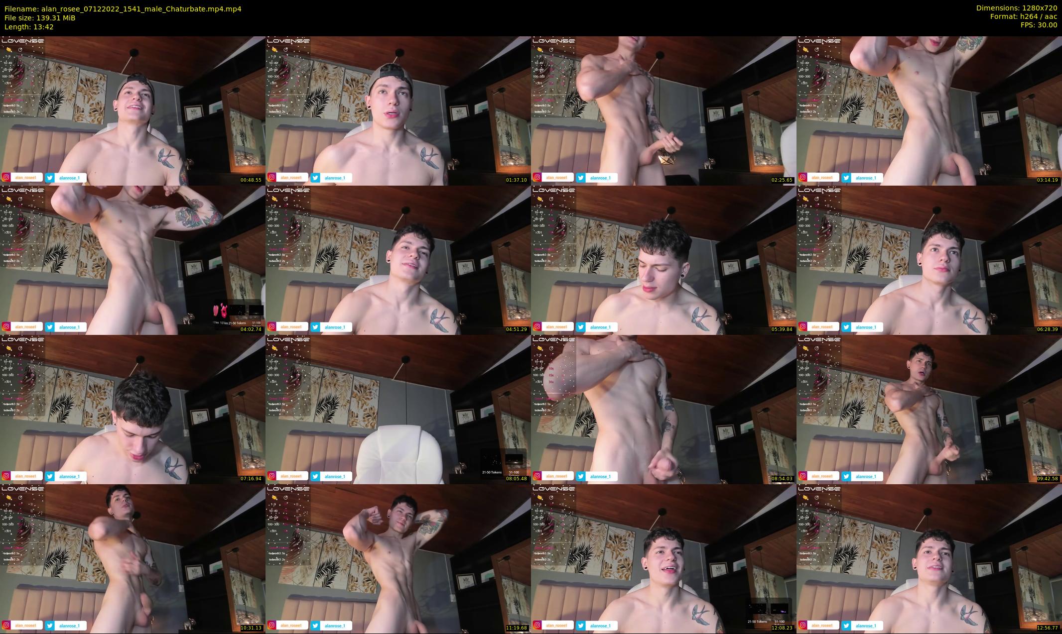 alan_rosee — 14 minute Chaturbate male cam show recording, 720p, Dec 7, 2022