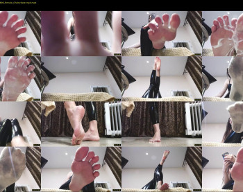 black_alex_ — 91 minute Chaturbate couple cam show recording, 720p, Dec 7, 2022