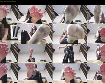 black_alex_ — 92 minute Chaturbate couple cam show recording, 720p, Dec 7, 2022