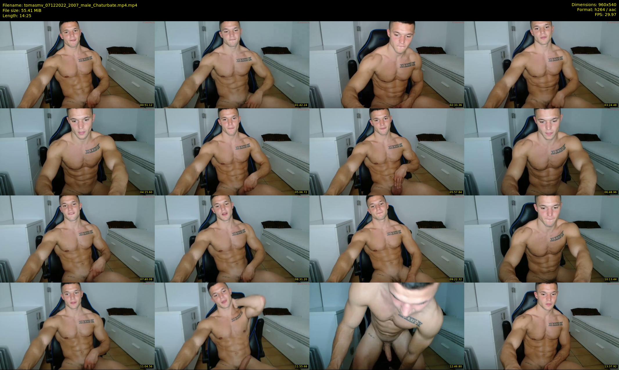 tomasmv — 15 minute Chaturbate male cam show recording, 480p, Dec 7, 2022