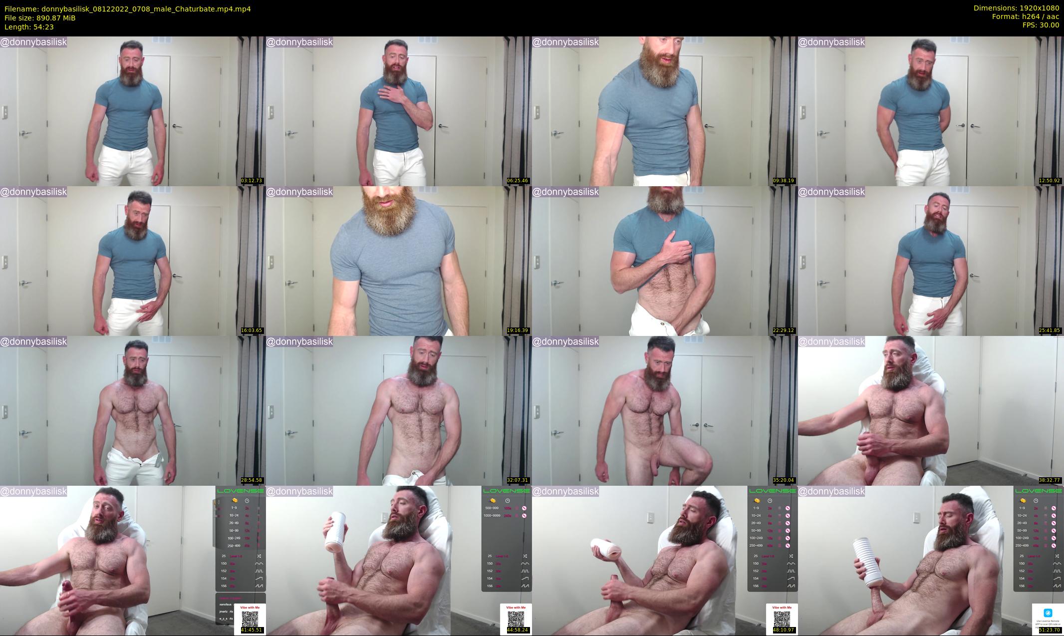 donnybasilisk — 55 minute Chaturbate male cam show recording, 1080p, Dec 8, 2022