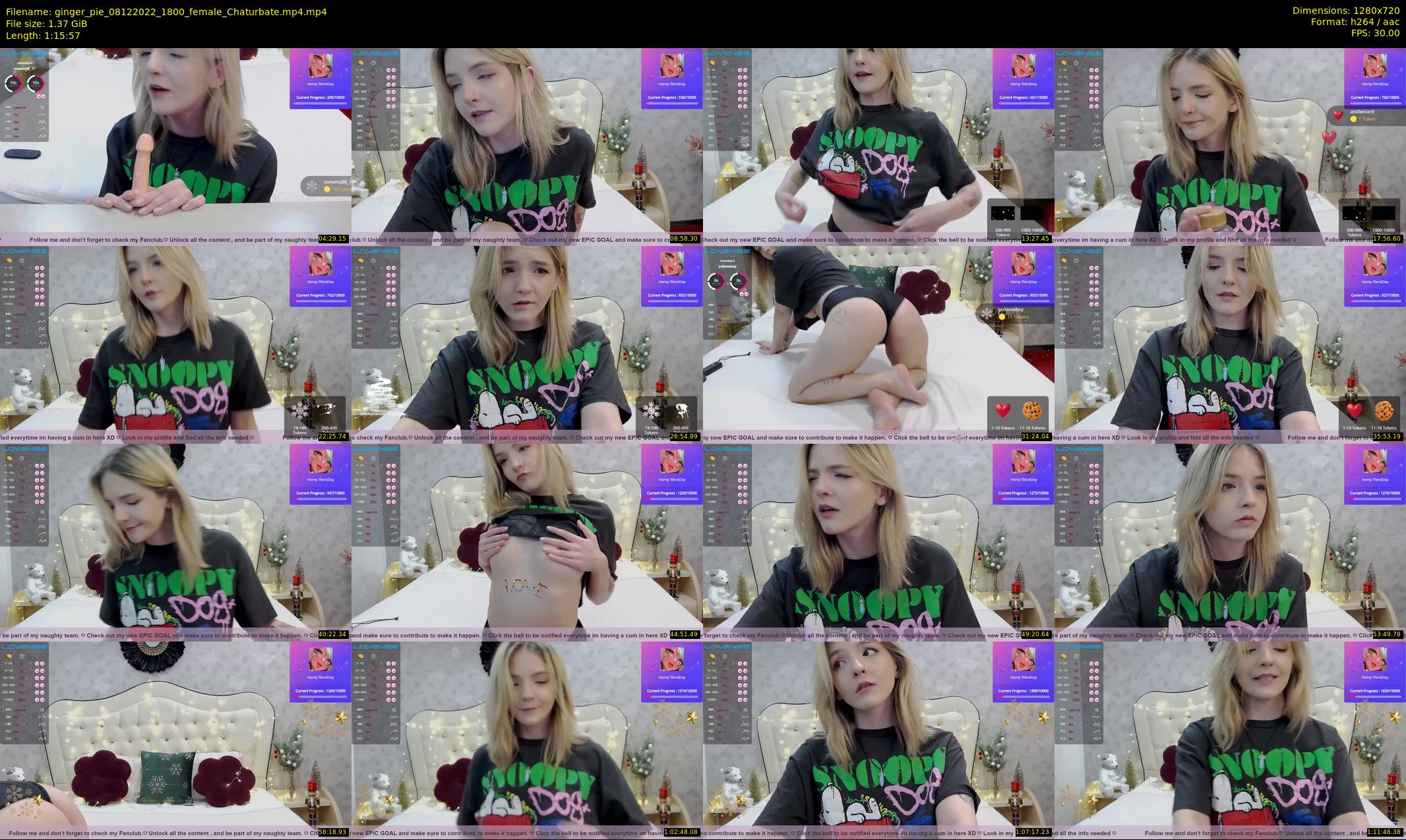 ginger_pie — 76 minute Chaturbate female cam show recording, 720p, Dec 8, 2022