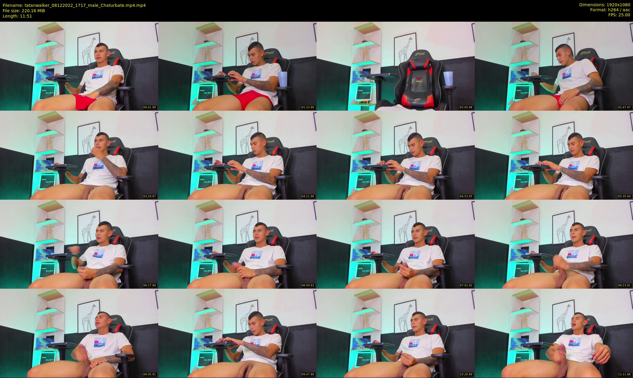 tatanwalker — 12 minute Chaturbate male cam show recording, 1080p, Dec 8, 2022