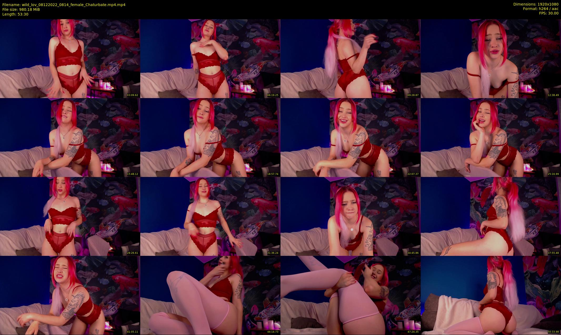 wild_lov — 54 minute Chaturbate female cam show recording, 1080p, Dec 8, 2022