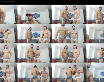 willhottwil1 — 29 minute Chaturbate couple cam show recording, 1080p, Dec 8, 2022