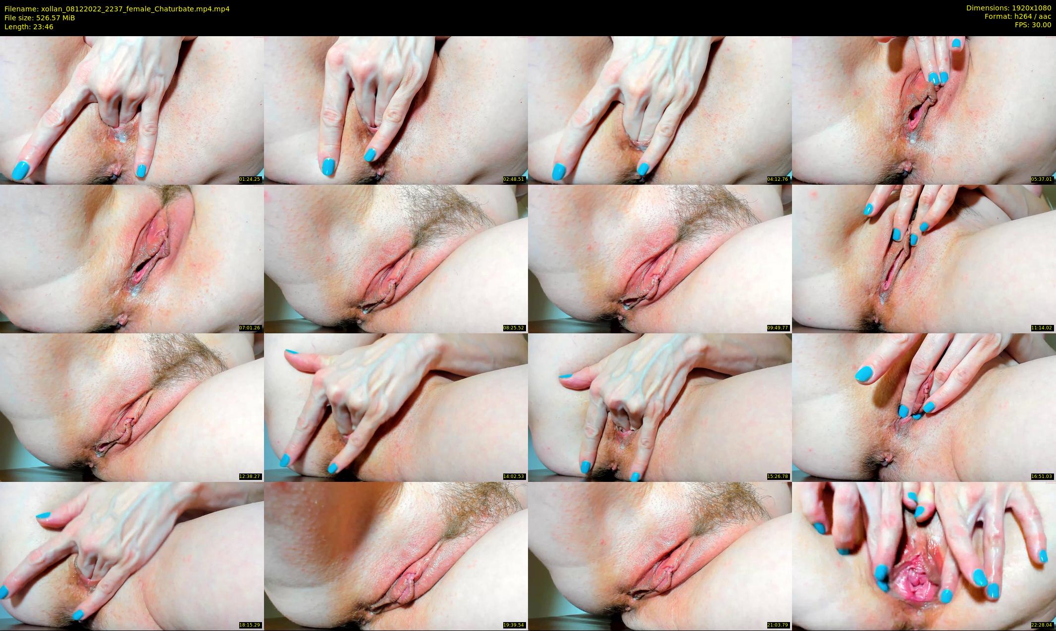 xollan — 24 minute Chaturbate female cam show recording, 1080p, Dec 8, 2022