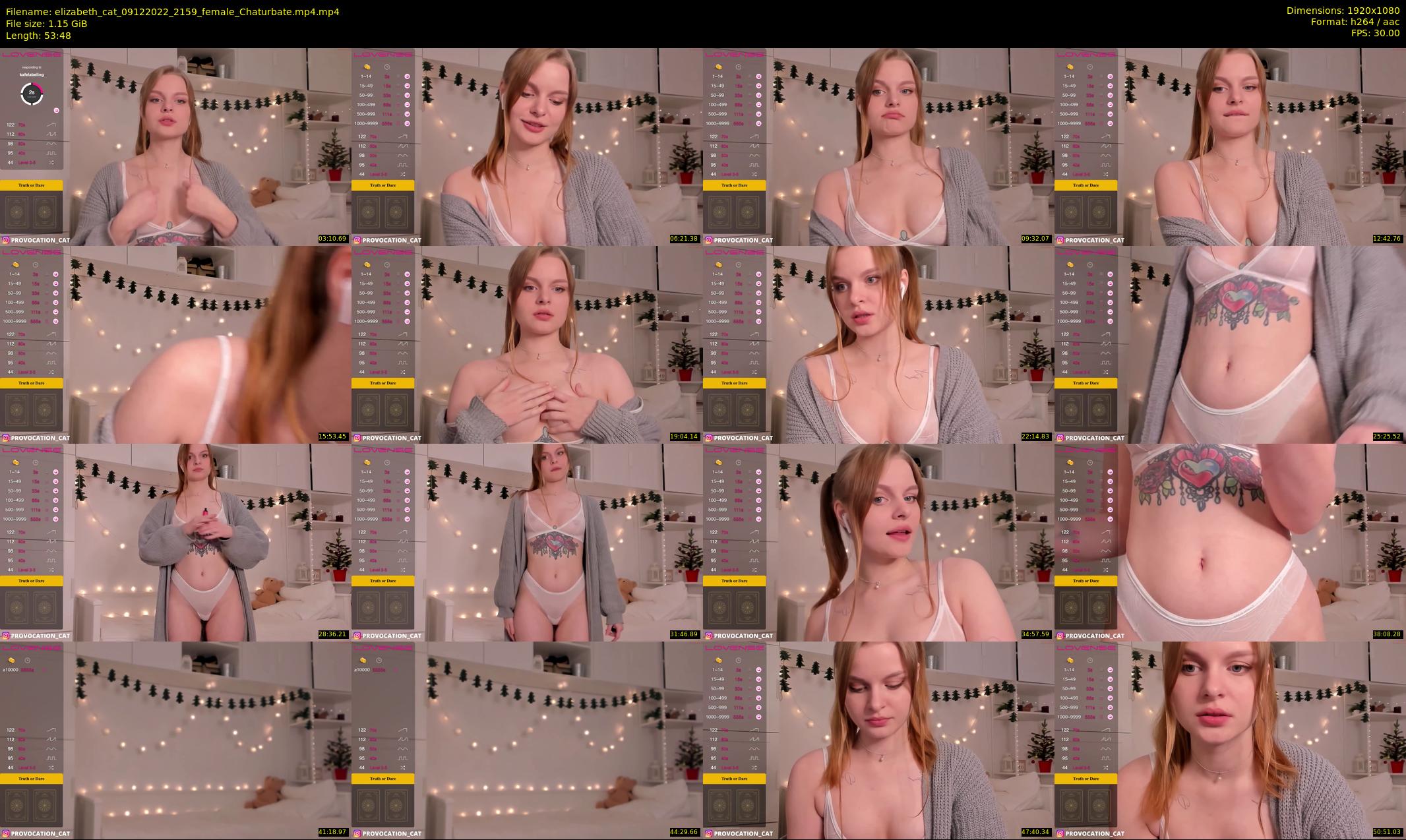 elizabeth_cat — 54 minute Chaturbate female cam show recording, 1080p, Dec 9, 2022