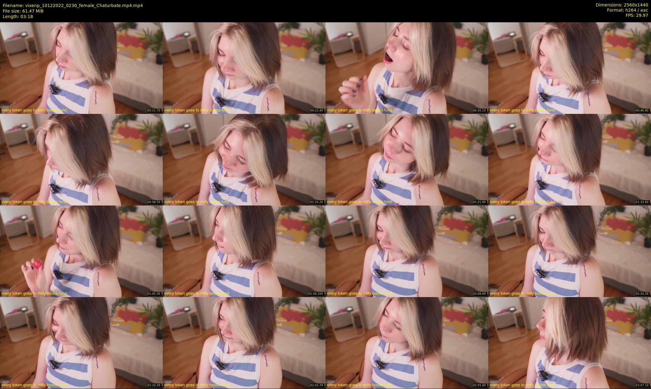 vixenp — 4 minute Chaturbate female cam show recording, 1080p, Dec 10, 2022