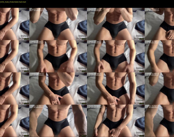 bestdick1991 — 11 minute Chaturbate male cam show recording, 720p, Dec 11, 2022
