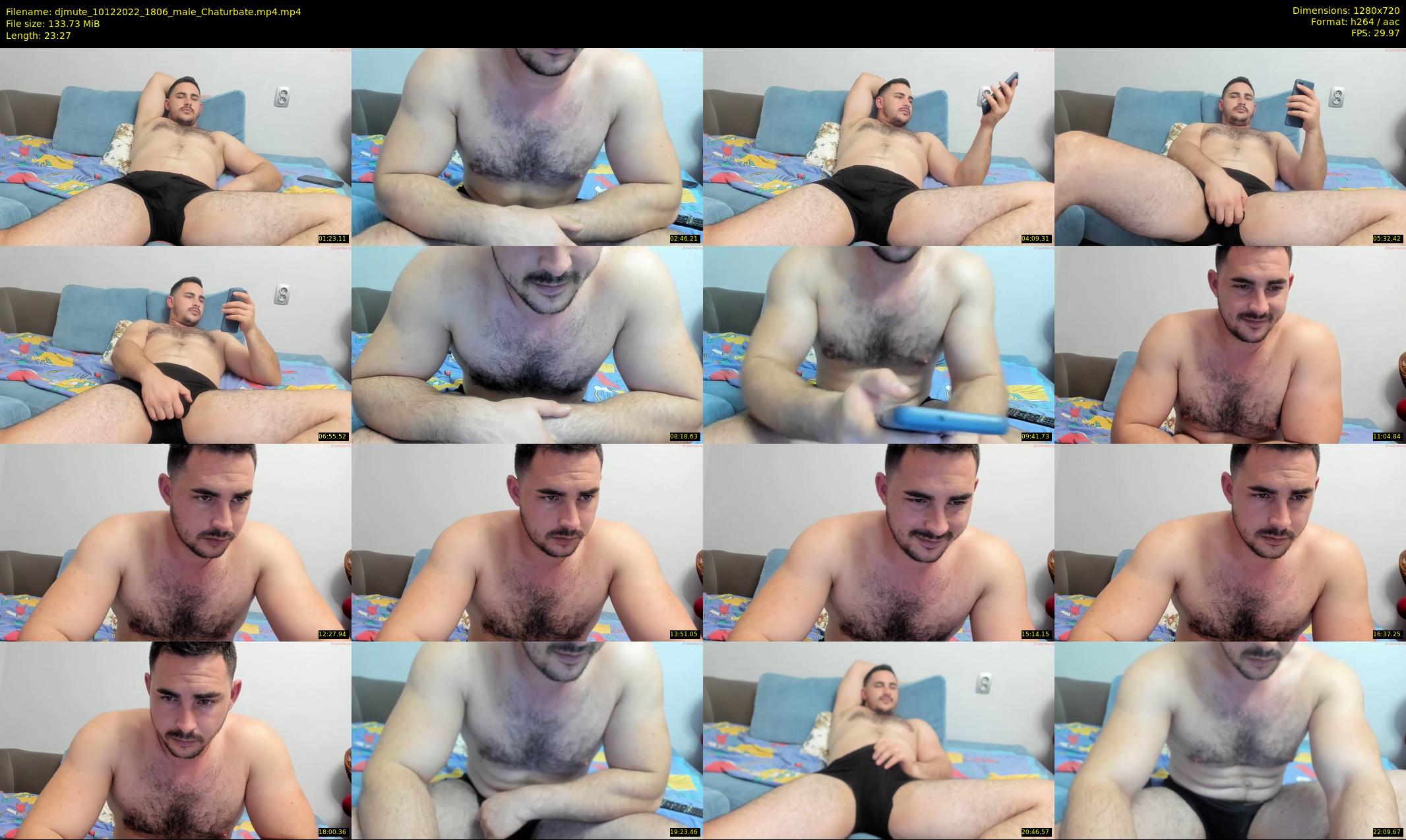 djmute — 24 minute Chaturbate male cam show recording, 720p, Dec 10, 2022
