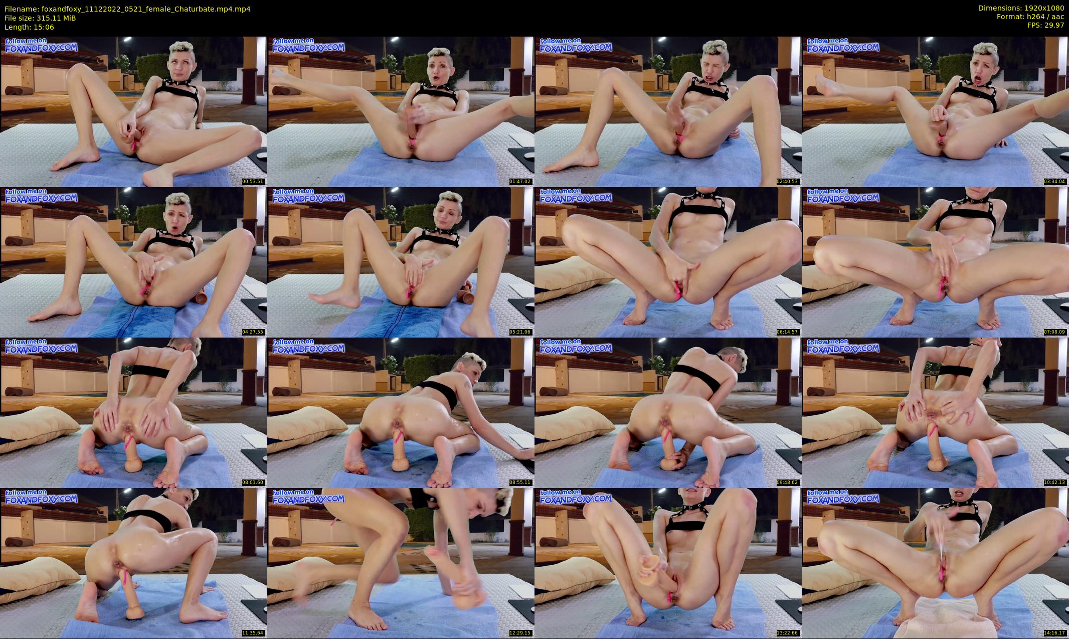 foxandfoxy — 16 minute Chaturbate couple cam show recording, 1080p, Dec 11, 2022