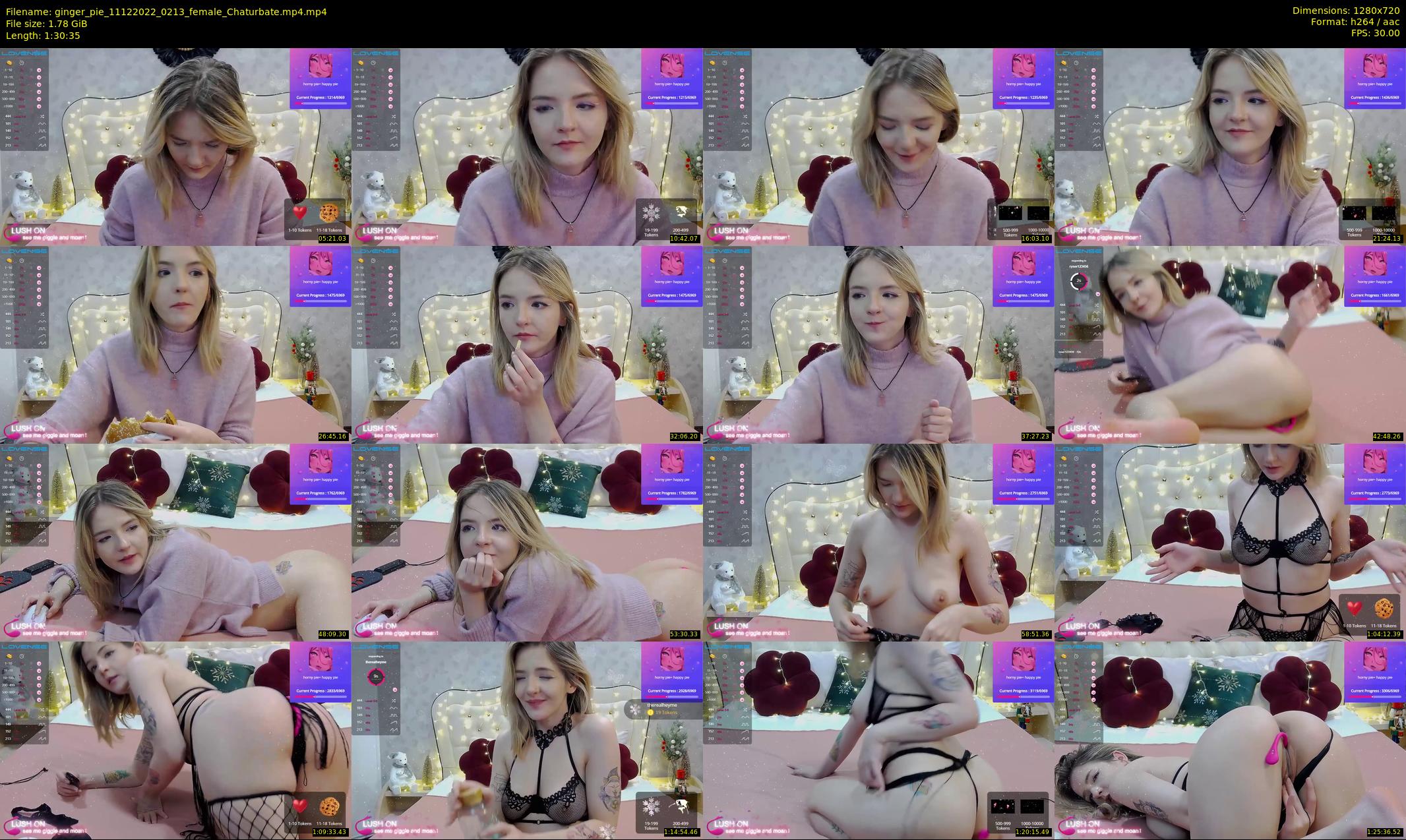 ginger_pie — 91 minute Chaturbate female cam show recording, 720p, Dec 11, 2022