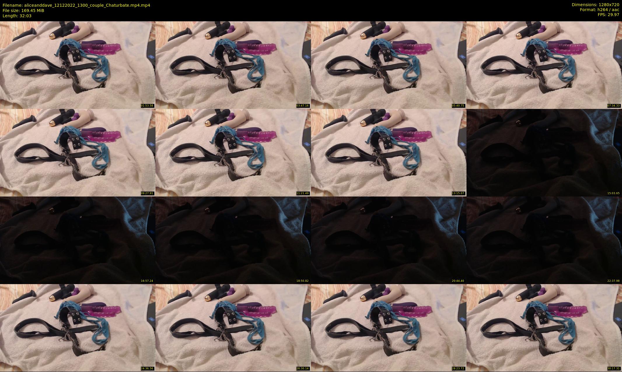 aliceanddave — 33 minute Chaturbate couple cam show recording, 720p, Dec 12, 2022