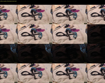 aliceanddave — 33 minute Chaturbate couple cam show recording, 720p, Dec 12, 2022