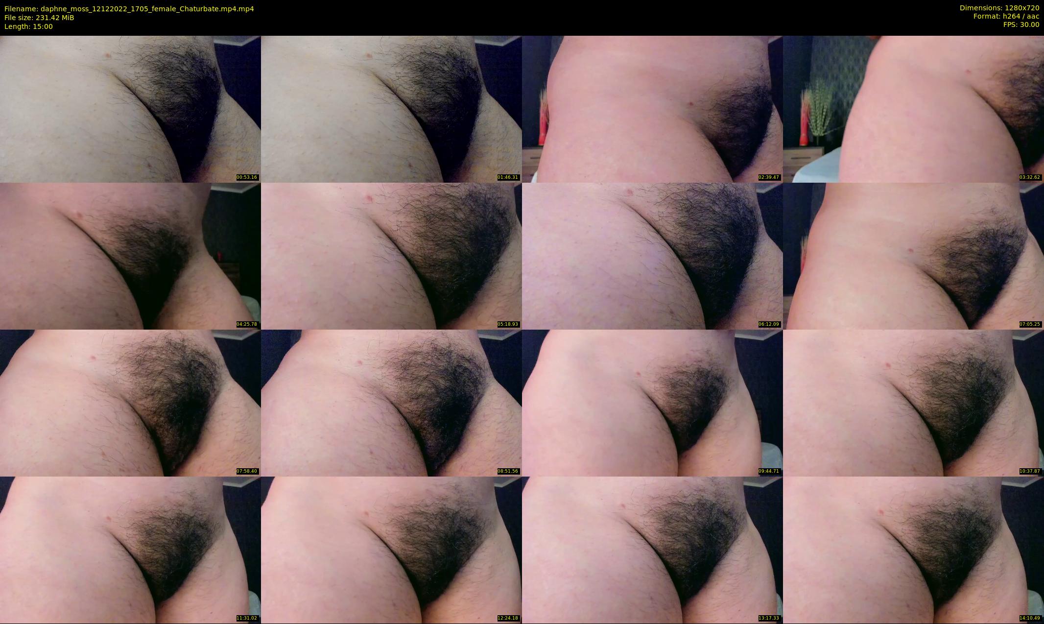 daphne_moss — 15 minute Chaturbate female cam show recording, 720p, Dec 12, 2022