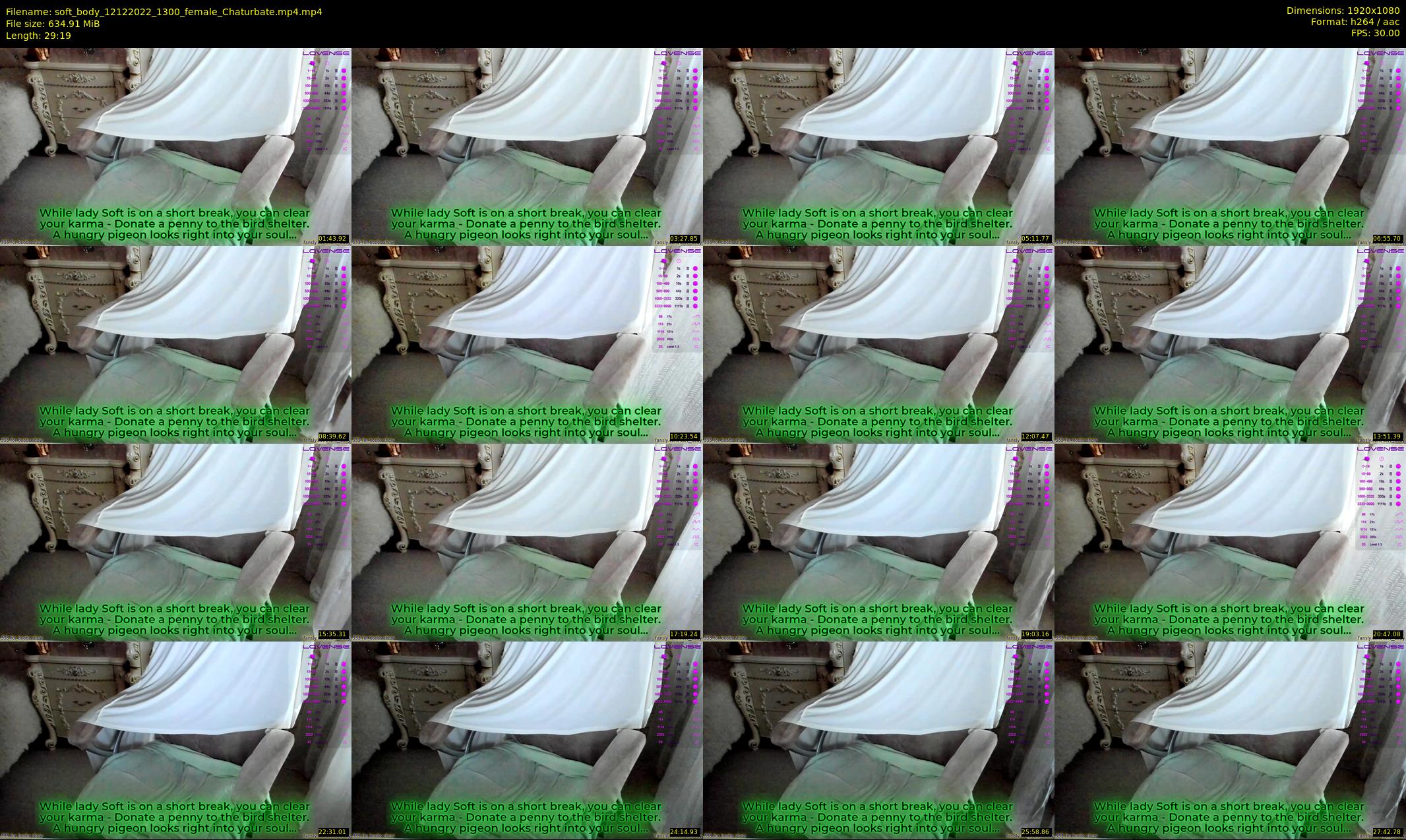 soft_body — 30 minute Chaturbate female cam show recording, 1080p, Dec 12, 2022