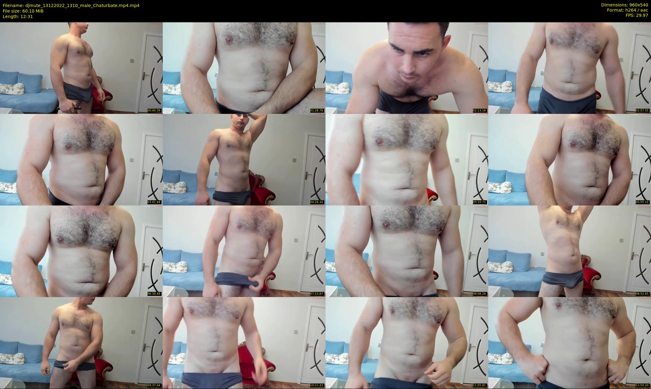 djmute — 13 minute Chaturbate male cam show recording, 480p, Dec 13, 2022