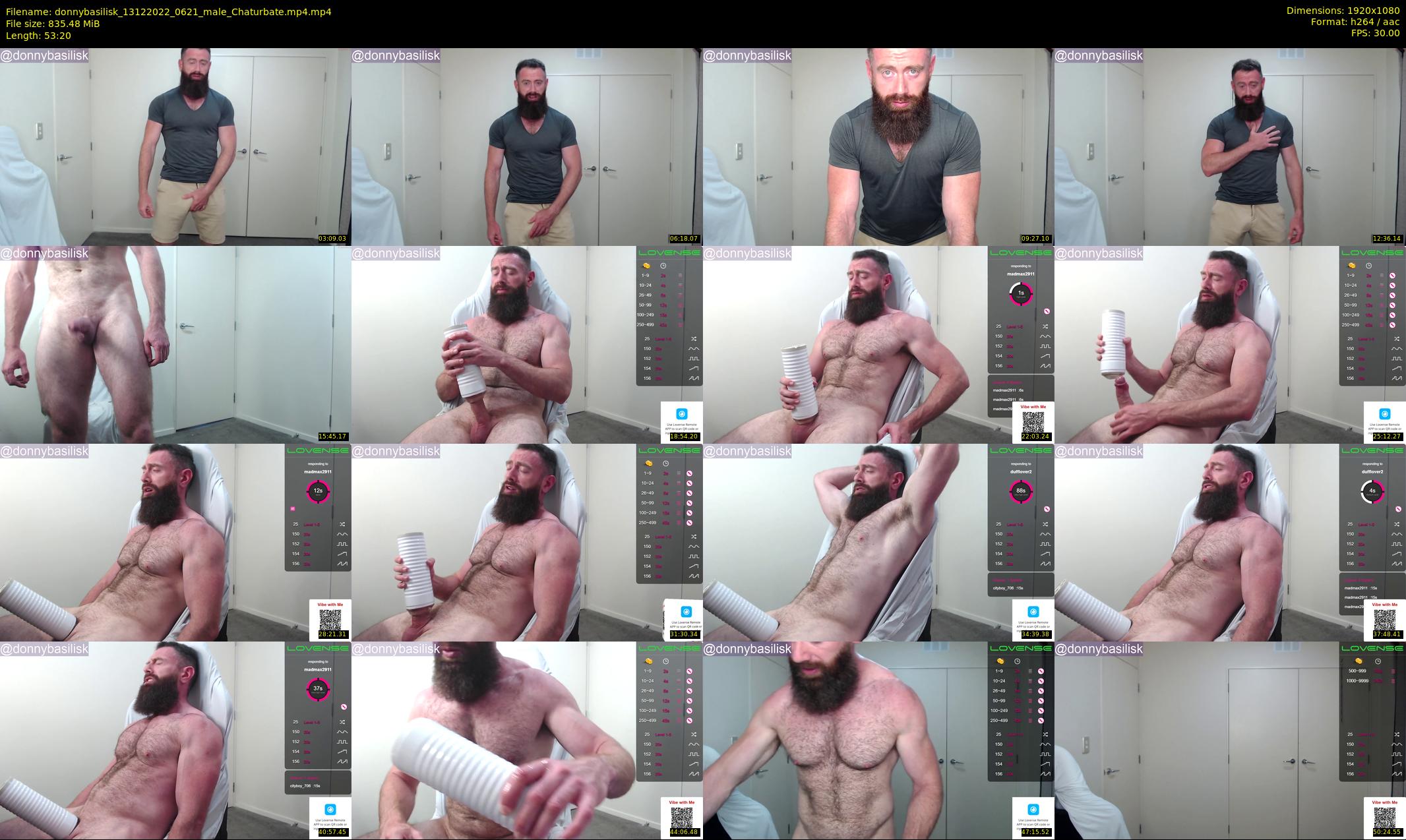 donnybasilisk — 54 minute Chaturbate male cam show recording, 1080p, Dec 13, 2022