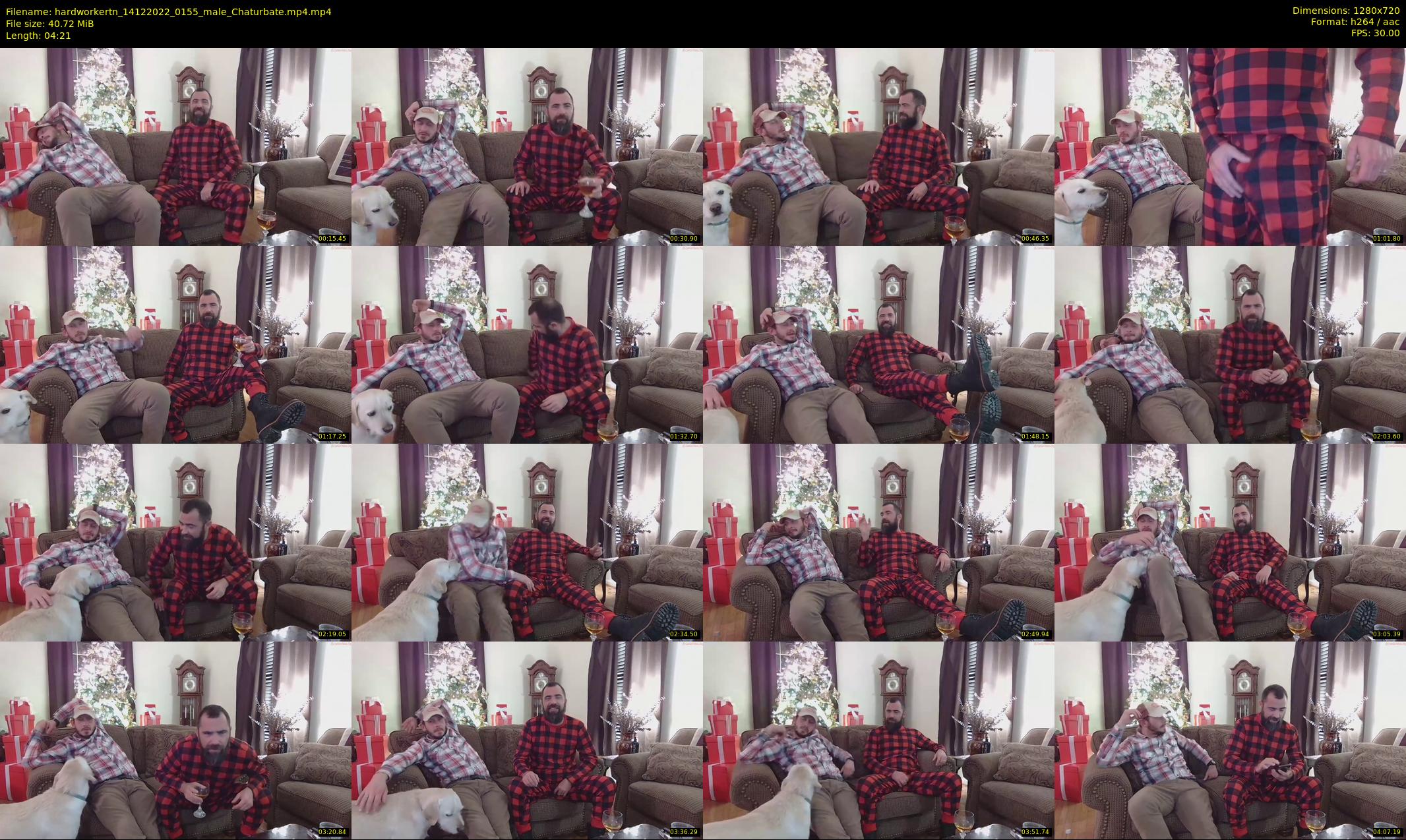 hardworkertn — 5 minute Chaturbate male cam show recording, 720p, Dec 14, 2022
