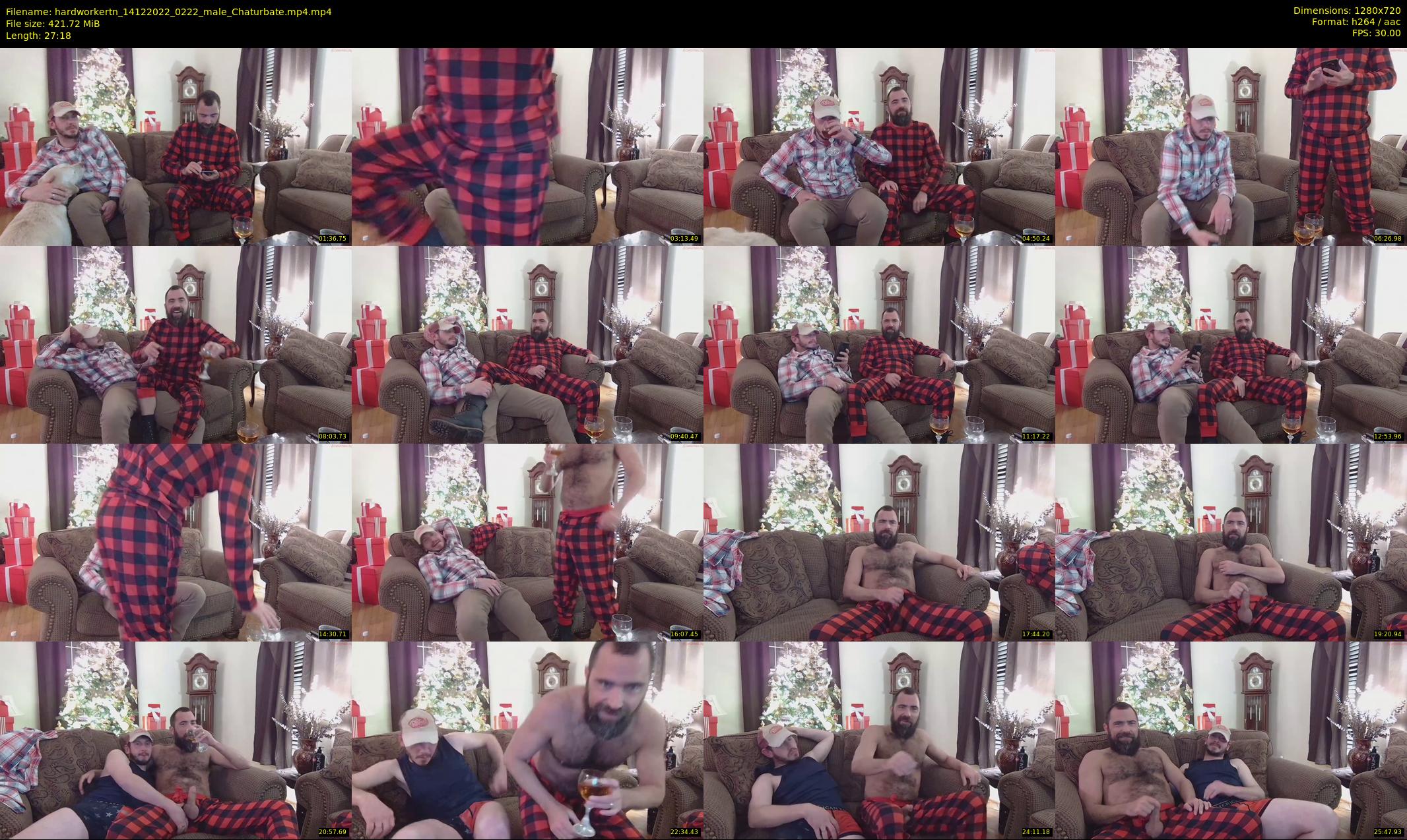 hardworkertn — 28 minute Chaturbate male cam show recording, 720p, Dec 14, 2022