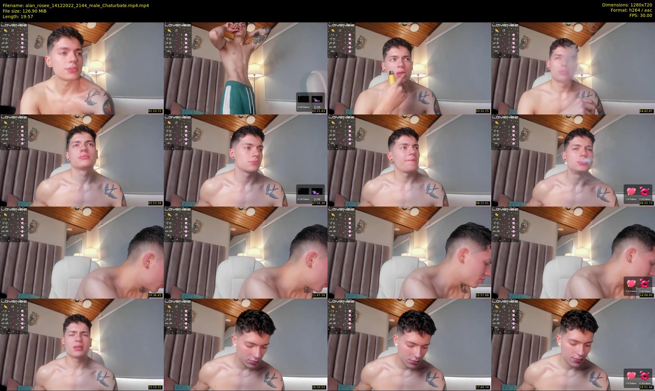alan_rosee — 20 minute Chaturbate male cam show recording, 720p, Dec 14, 2022