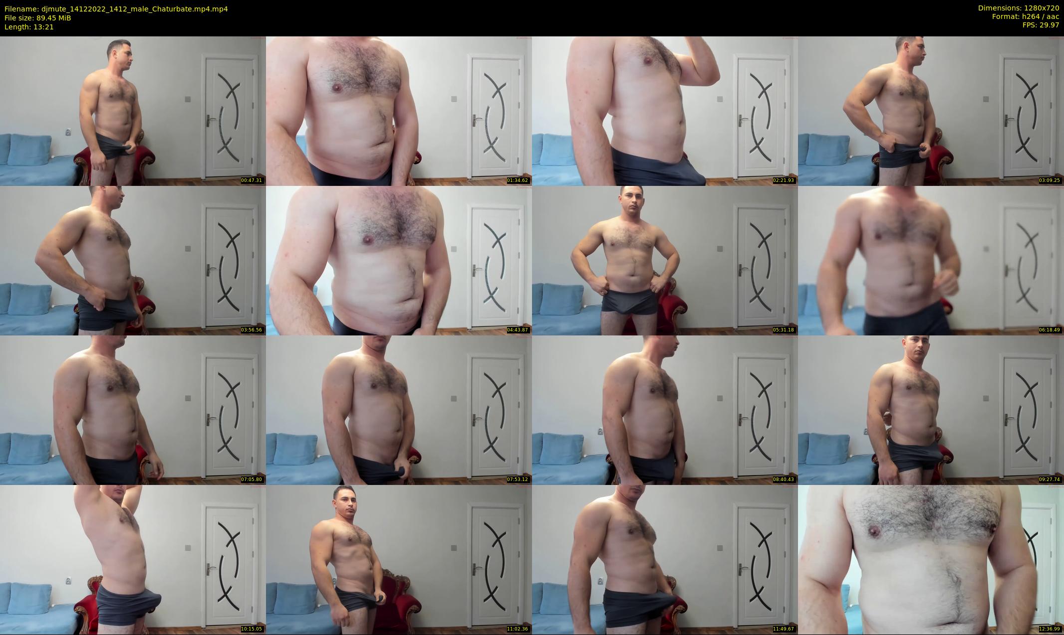 djmute — 14 minute Chaturbate male cam show recording, 720p, Dec 14, 2022