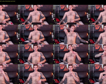 mr_longboy — 30 minute Chaturbate male cam show recording, 1080p, Dec 14, 2022