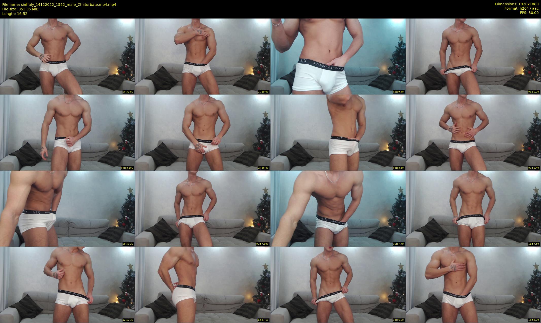 sinffuly — 17 minute Chaturbate male cam show recording, 1080p, Dec 14, 2022