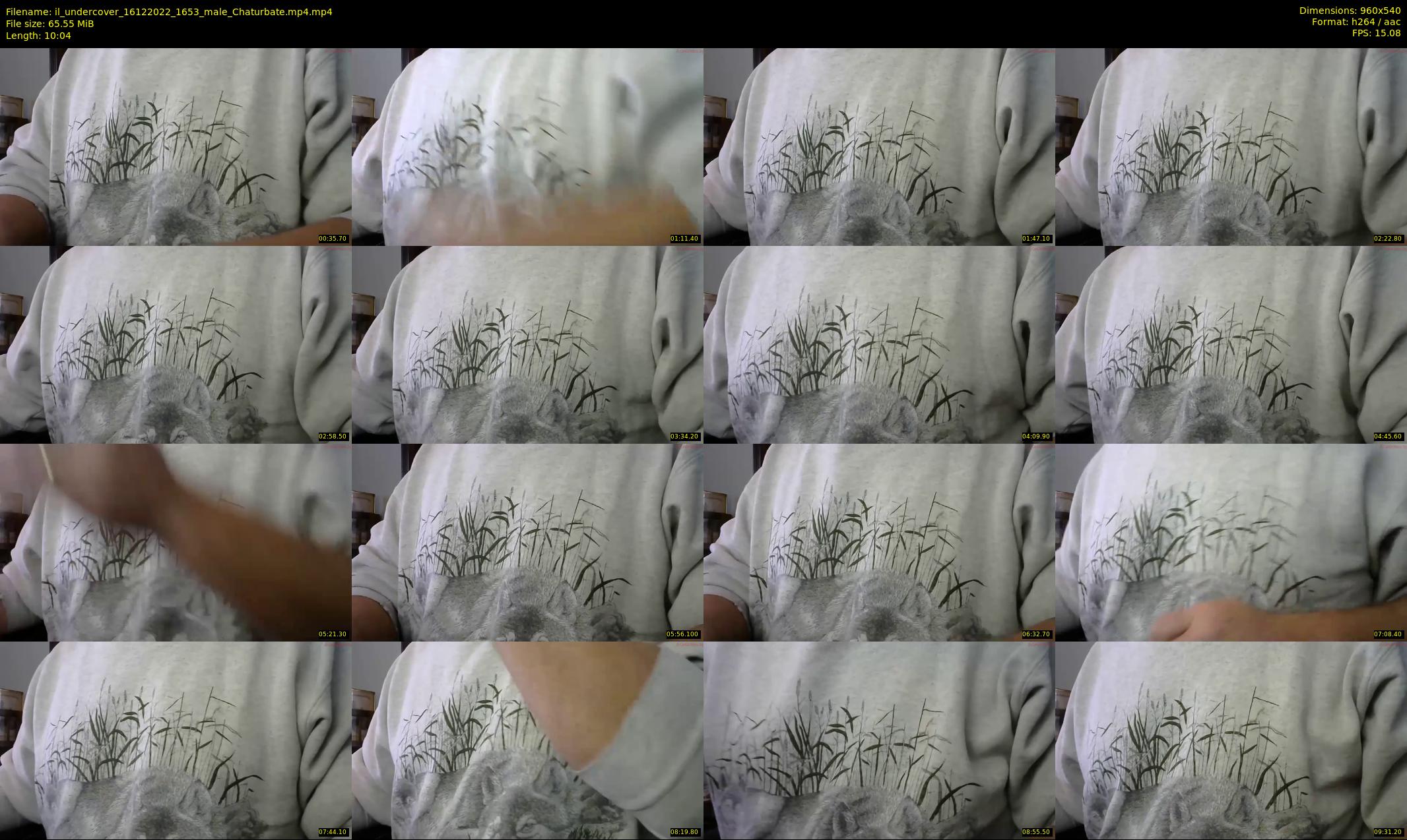 il_undercover — 11 minute Chaturbate male cam show recording, 480p, Dec 16, 2022