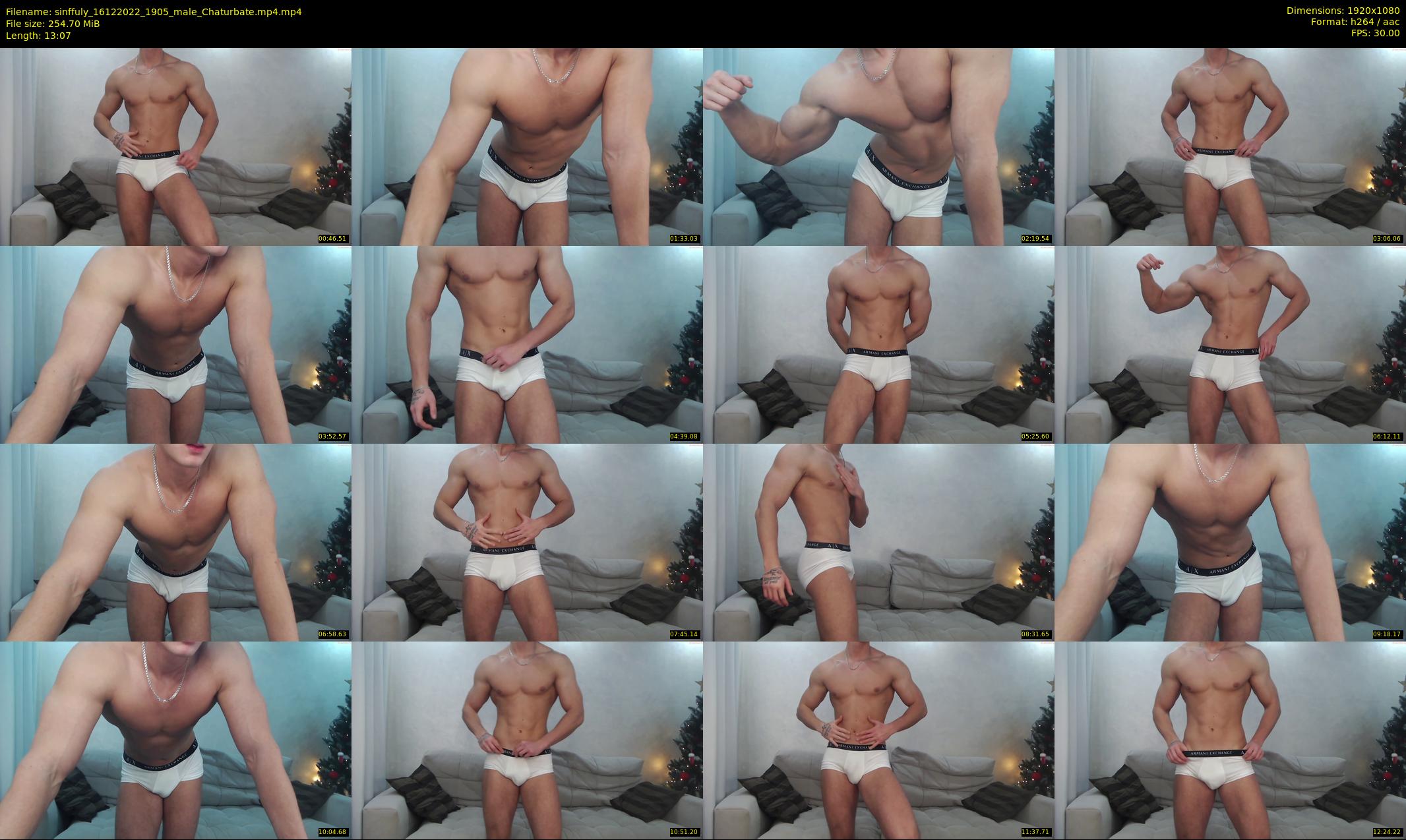 sinffuly — 14 minute Chaturbate male cam show recording, 1080p, Dec 16, 2022