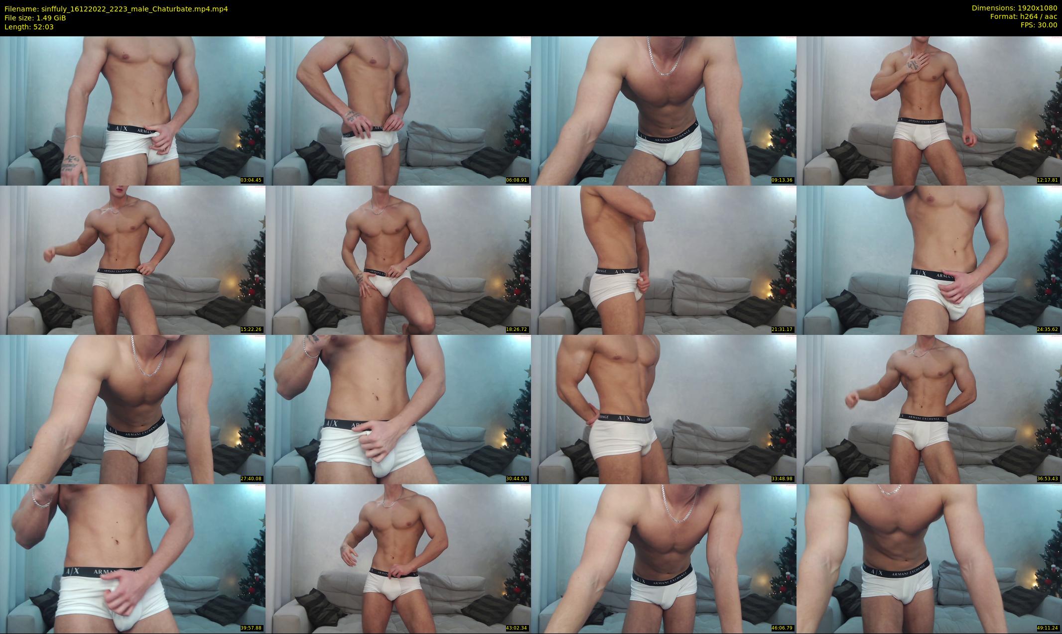 sinffuly — 53 minute Chaturbate male cam show recording, 1080p, Dec 16, 2022