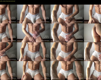 bestdick1991 — 25 minute Chaturbate male cam show recording, 720p, Dec 17, 2022