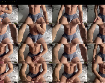 bestdick1991 — 15 minute Chaturbate male cam show recording, 720p, Dec 17, 2022