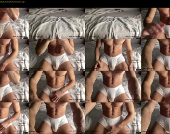 bestdick1991 — 25 minute Chaturbate male cam show recording, 720p, Dec 18, 2022