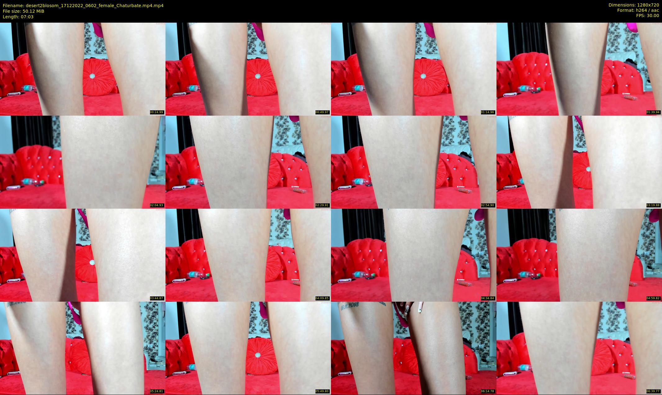 desert2blosom — 8 minute Chaturbate female cam show recording, 720p, Dec 17, 2022