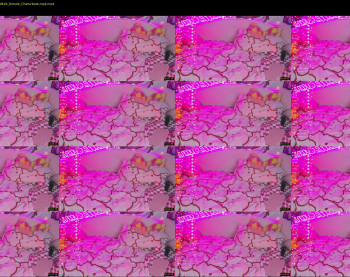 lucille_evans — 49 minute Chaturbate female cam show recording, 1080p, Dec 17, 2022