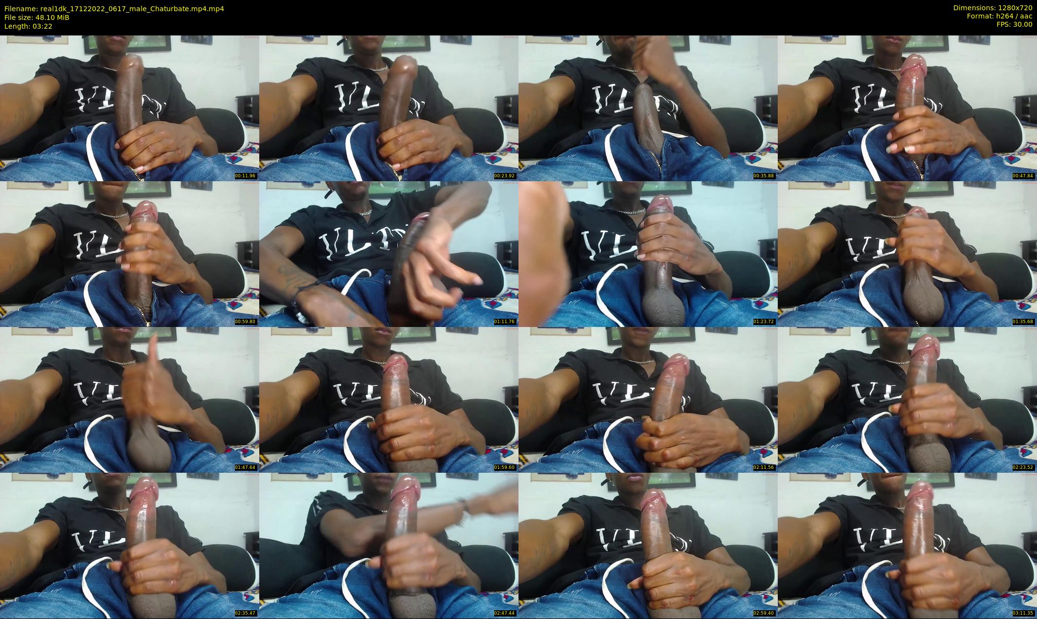 real1dk — 4 minute Chaturbate male cam show recording, 720p, Dec 17, 2022