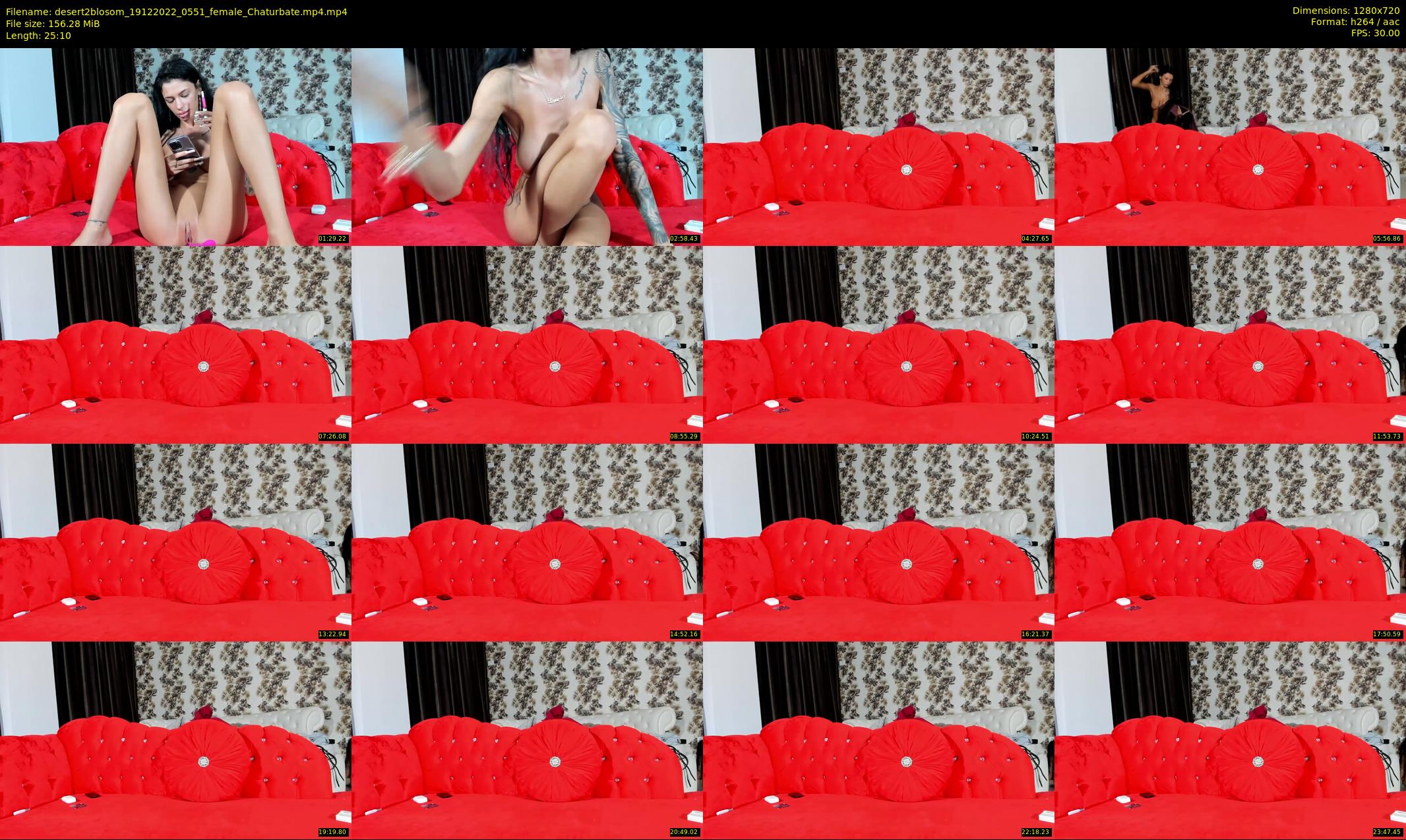 desert2blosom — 26 minute Chaturbate female cam show recording, 720p, Dec 19, 2022