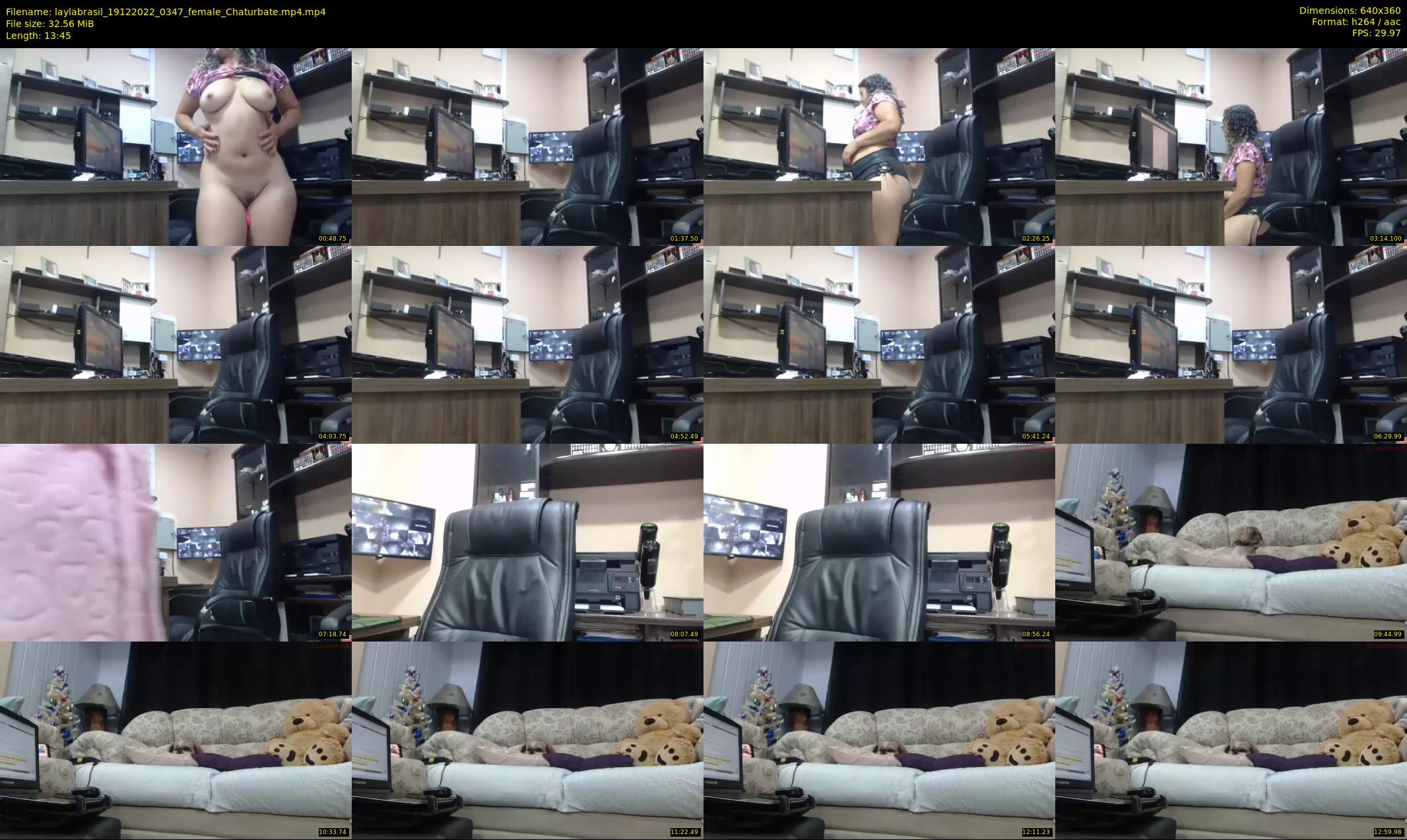 laylabrasil — 14 minute Chaturbate female cam show recording, 360p, Dec 19, 2022