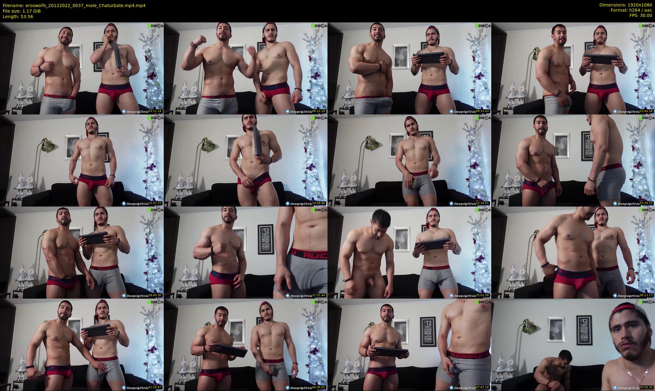 eroswolfs — 54 minute Chaturbate male cam show recording, 1080p, Dec 20, 2022